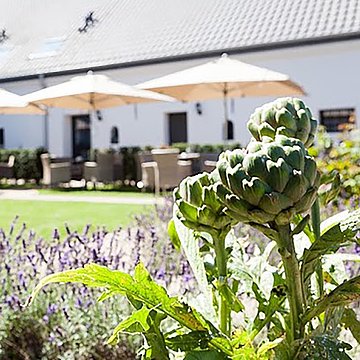Blumen im Vordergrund und im Hintergrund das Café